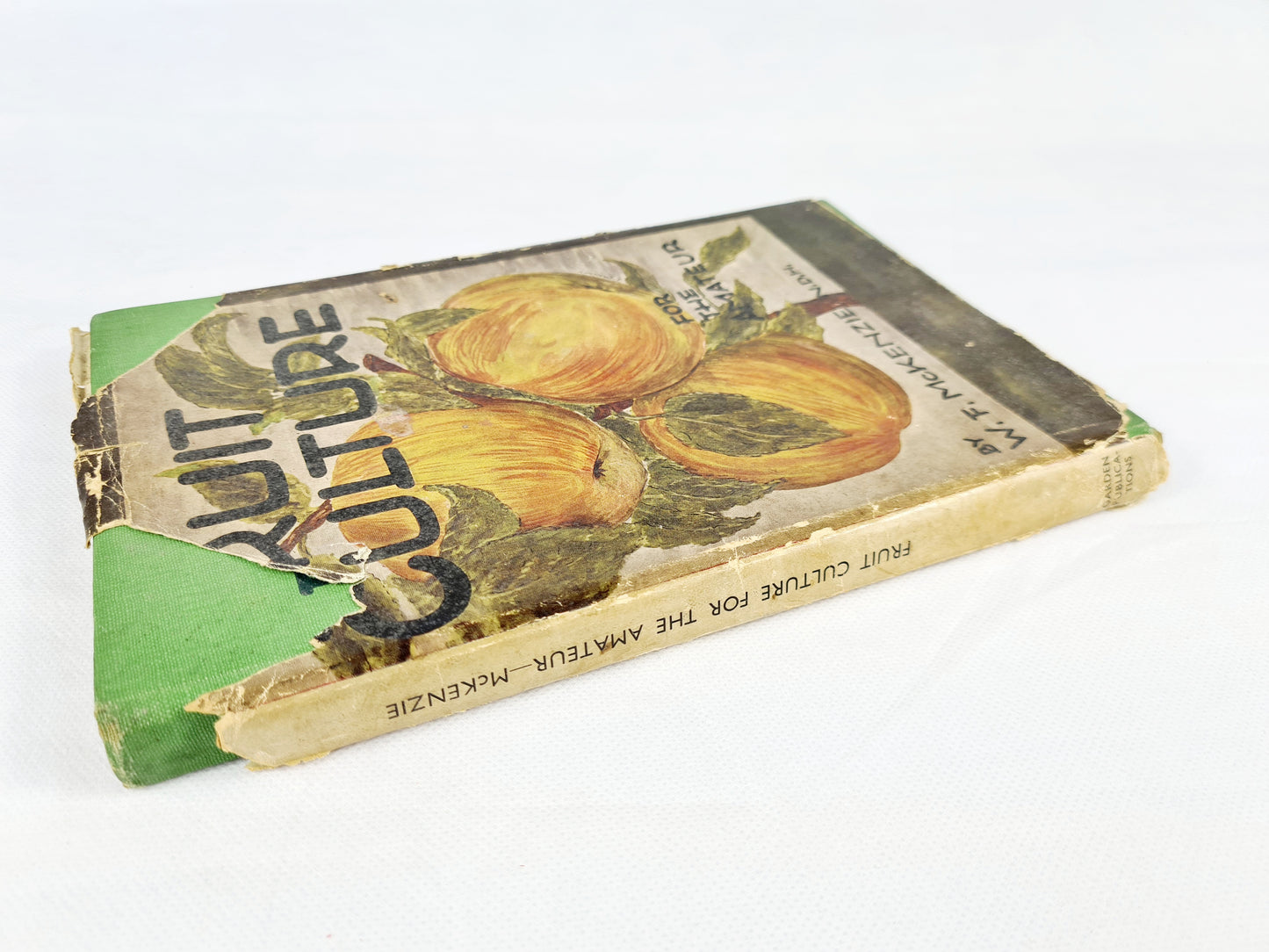 Fruit Culture For The Amateur. Illustrated vintage gardening book