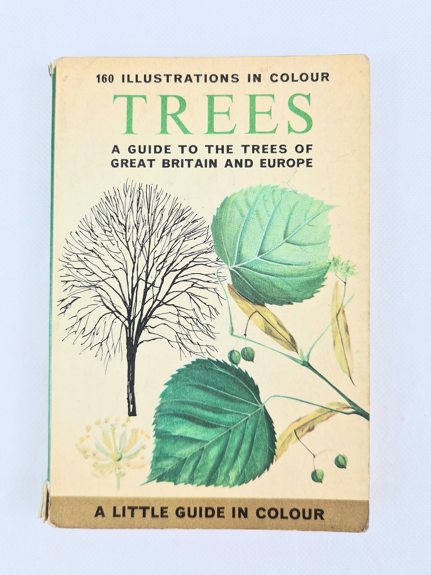 Small guide book of British amd European tree. Illustrated guide book