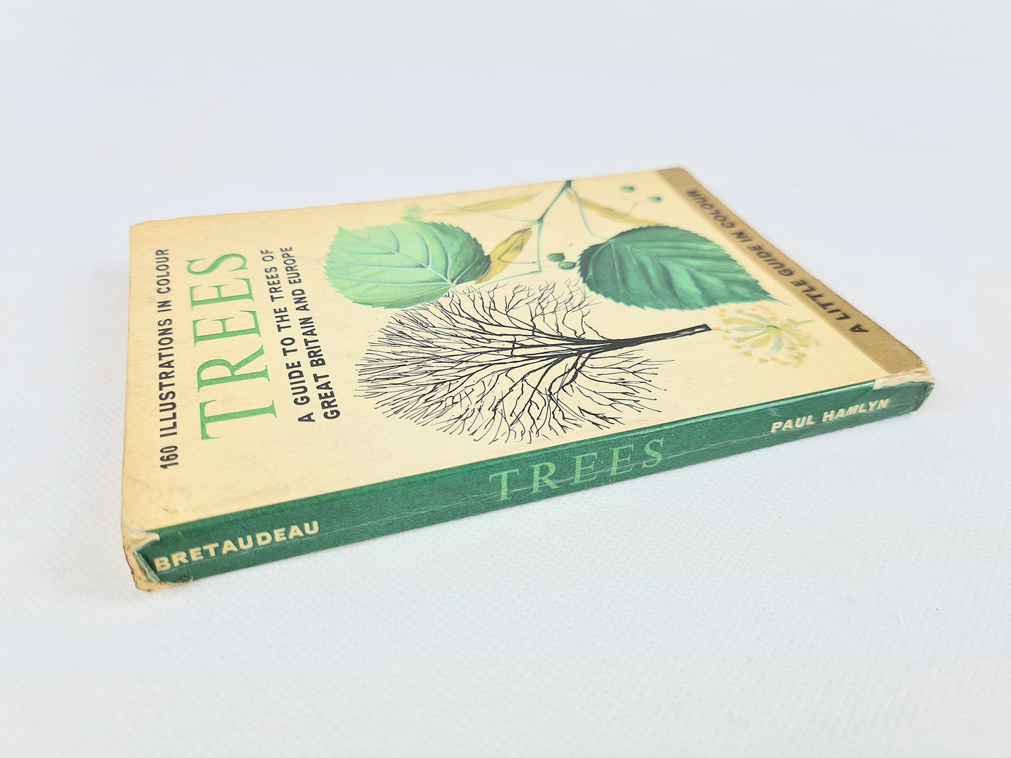 A Guide To The Trees Of Great Britain And Europe. Vintage book on trees.