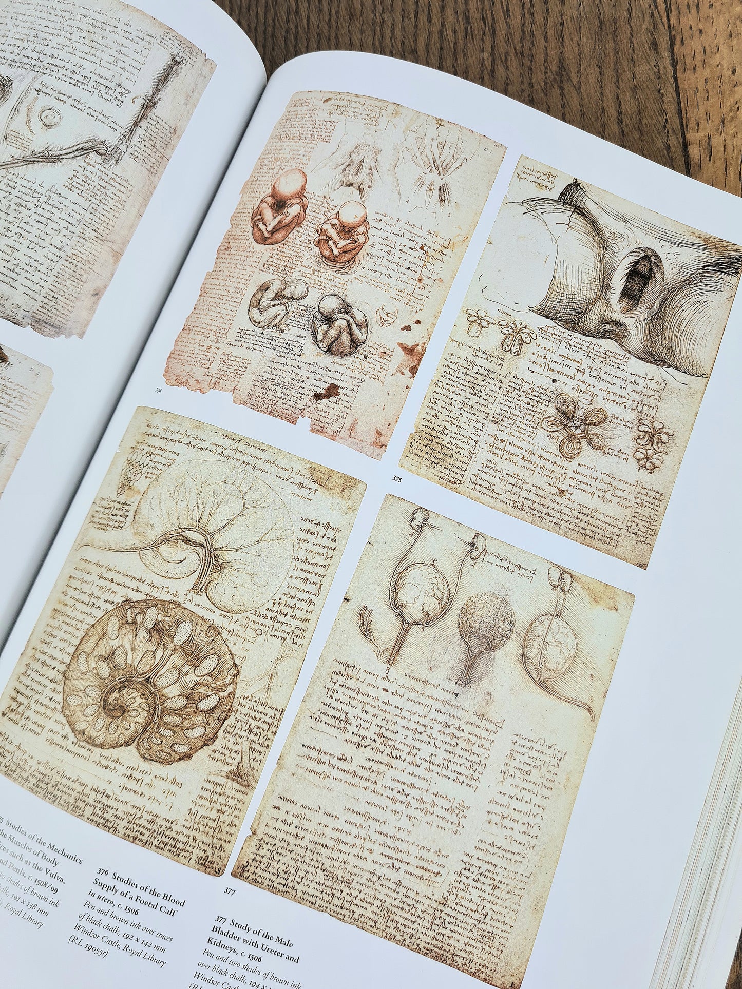 Taschen Books - Leonardo da Vinci, The Graphic Work