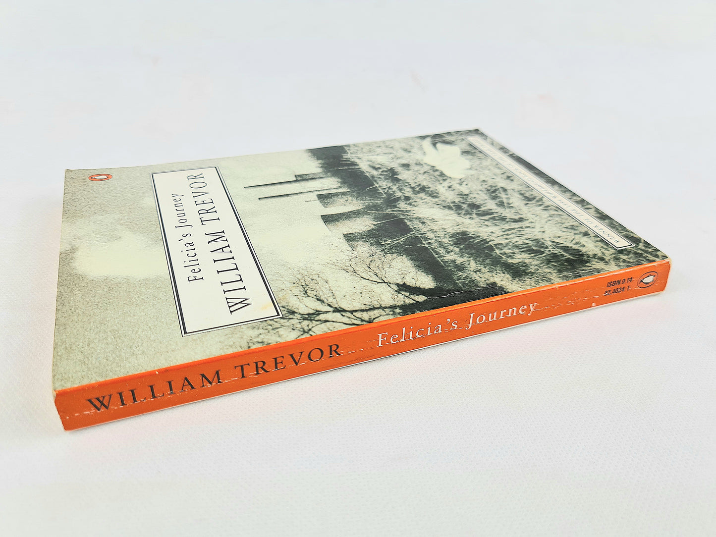 Felicia's Journey by William Trevor. Penguin Books