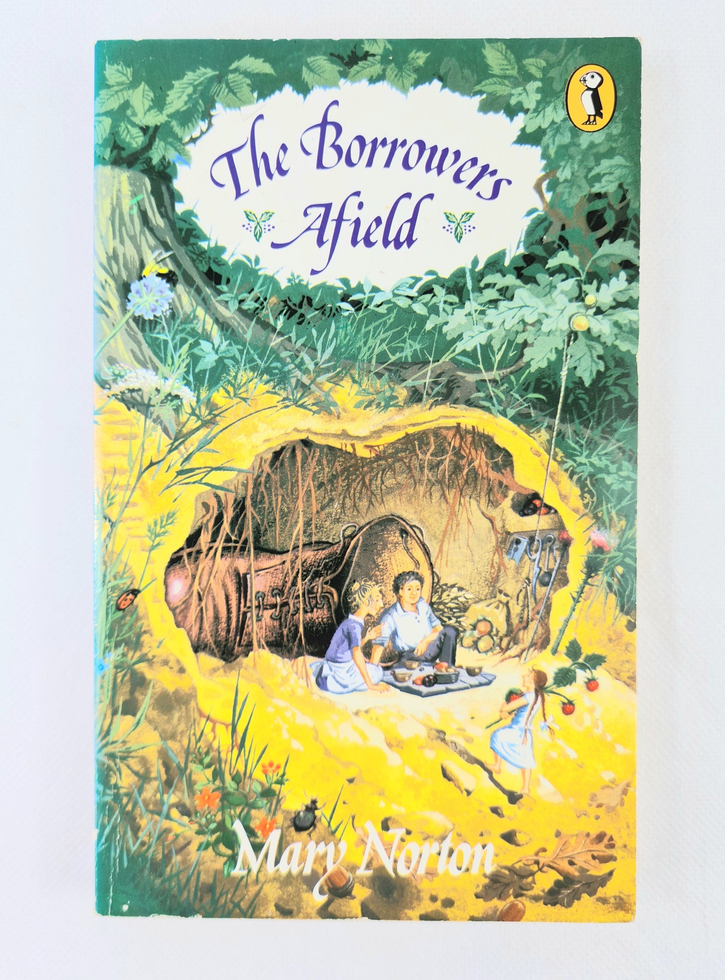 The Borrowers Afield, childrens book by Mary Norton 