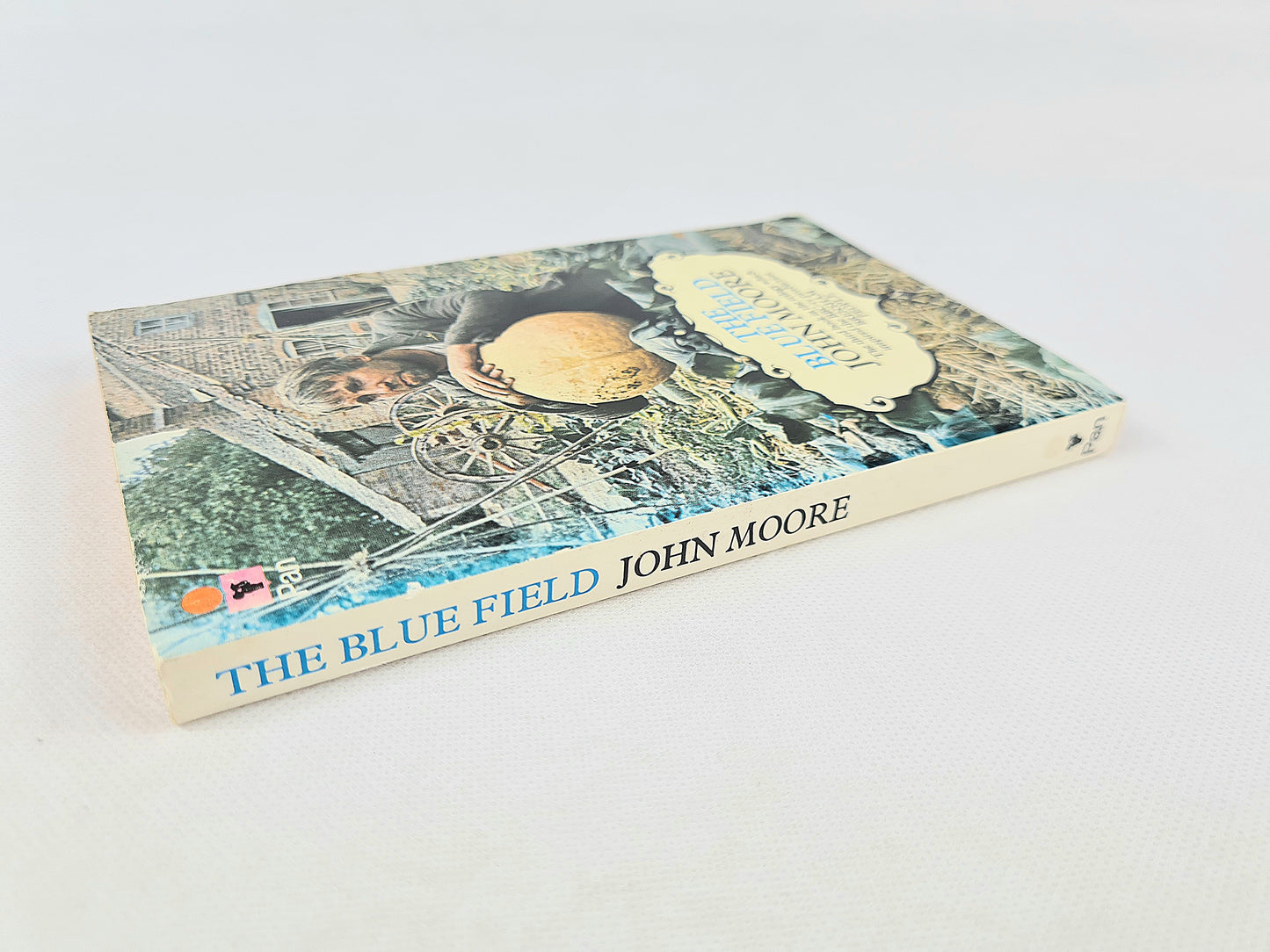 The Blue Field by John Moor. Vintage paperback books. Pan books