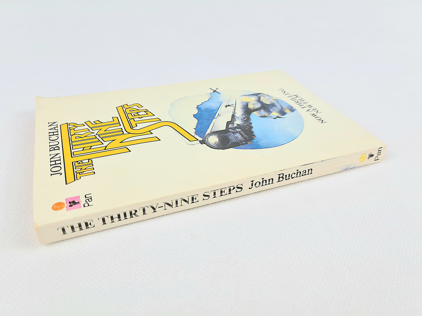 The Thirty Nine Steps by John Buchan, vintage paperback book. Pan books