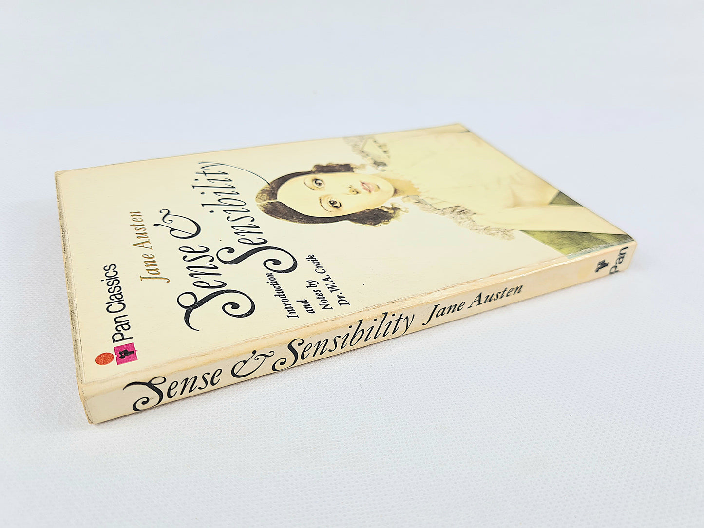 Sense and Sensibility by Jane Austen. Vintage paperback books. Pan books