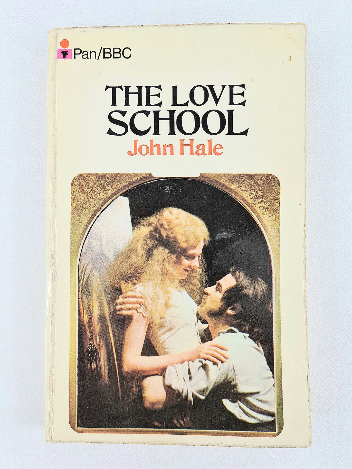 The School Of Love by John Hale. Vintage Paperbacks. Pan books