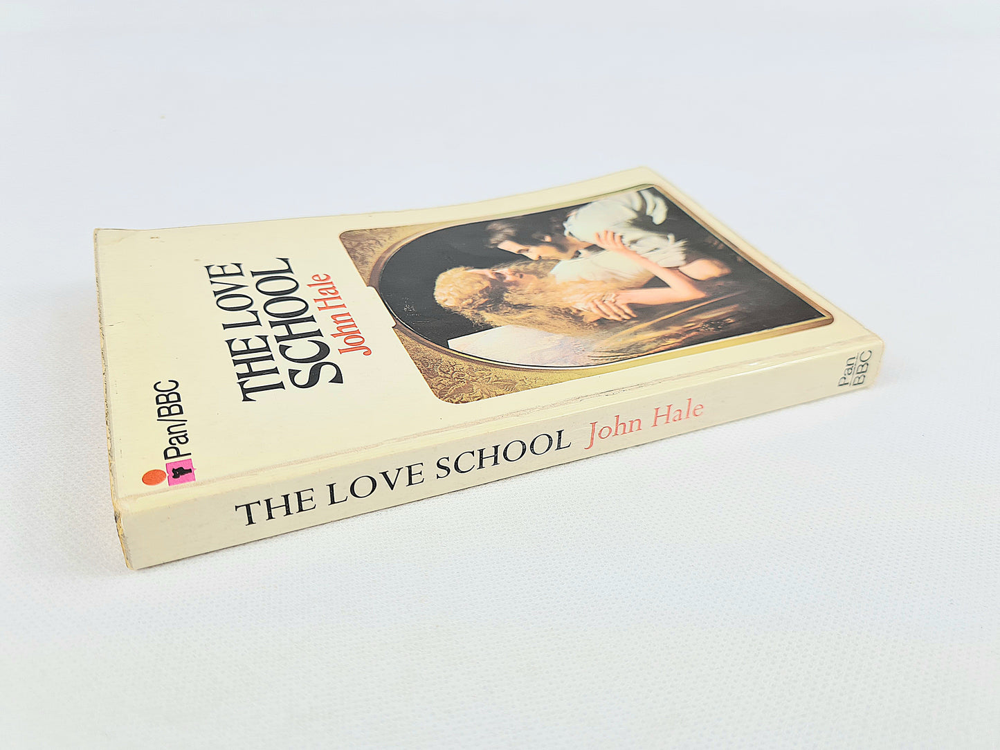 The School Of Love by John Hale. Vintage Paperbacks. Pan books