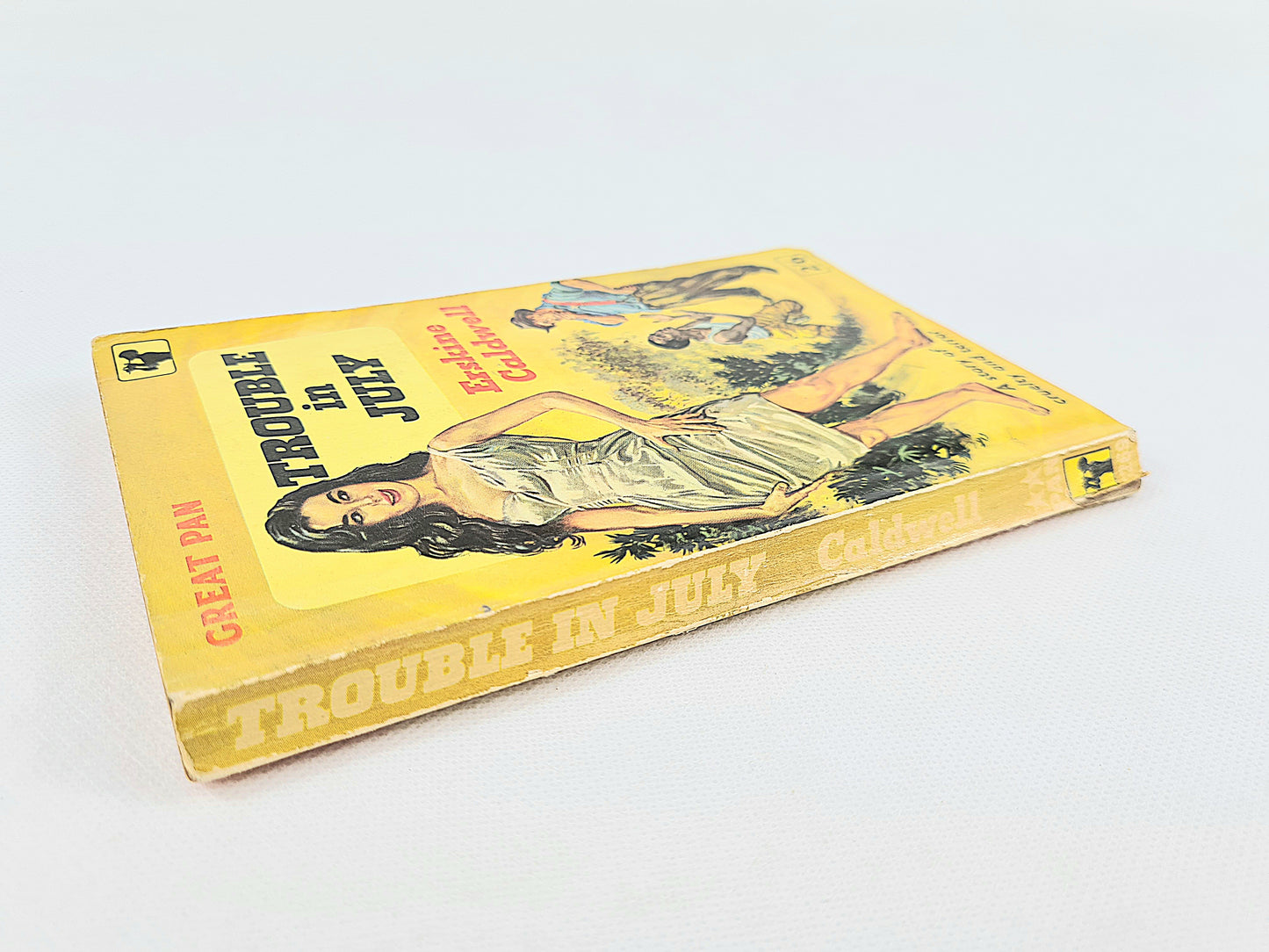 Trouble in July by Erskine Caldwell. Vintage Pan Books G269