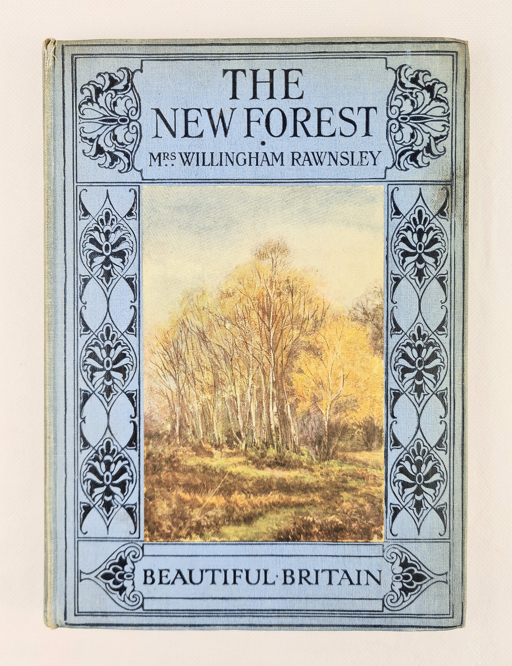 The new forest. Antique travel book 