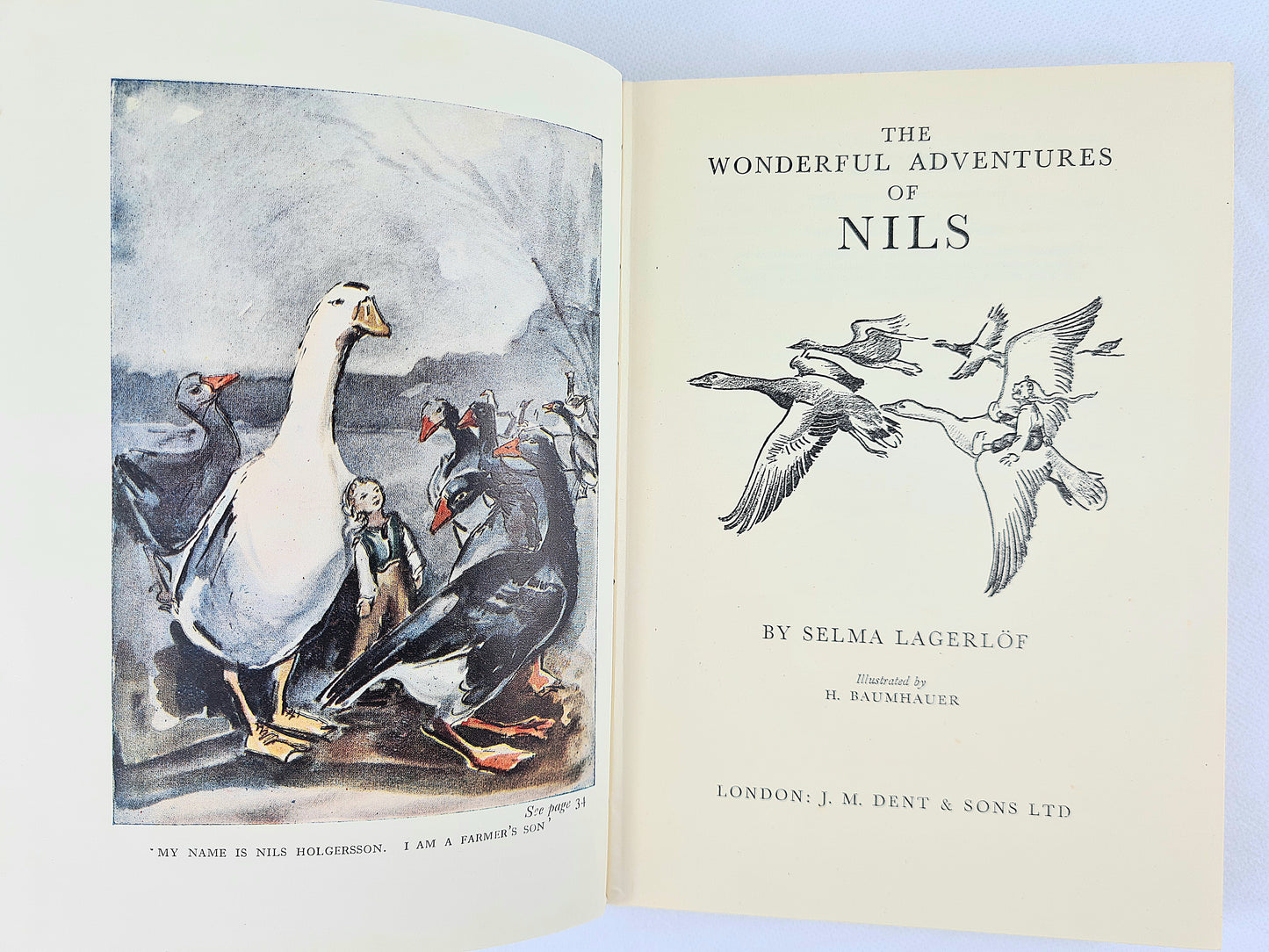 The Wonderful Adventures Of Nils by Selma Lagerlof. Illustrated children's book