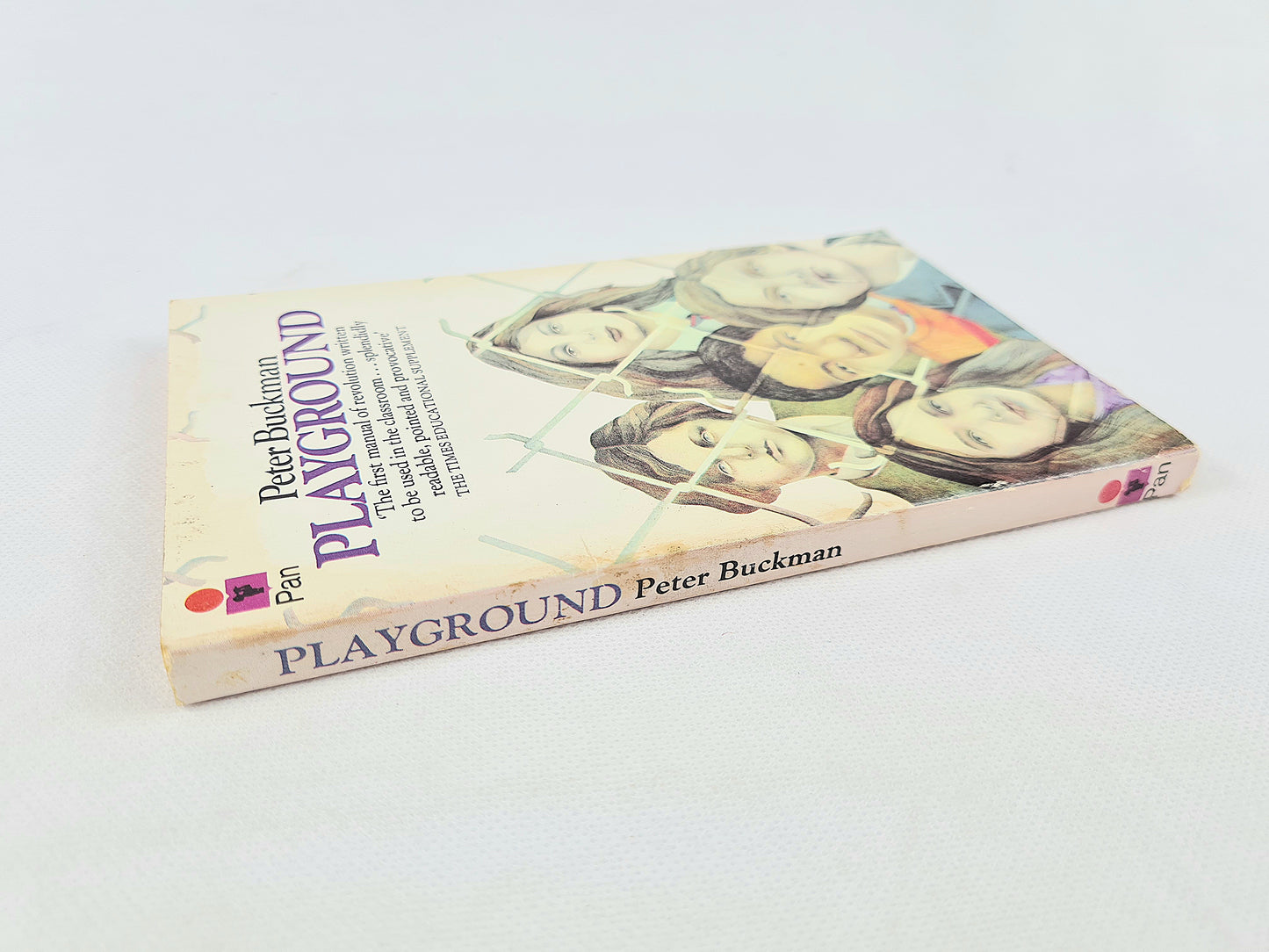 Playground by Peter Buckman. Vintage paperback book