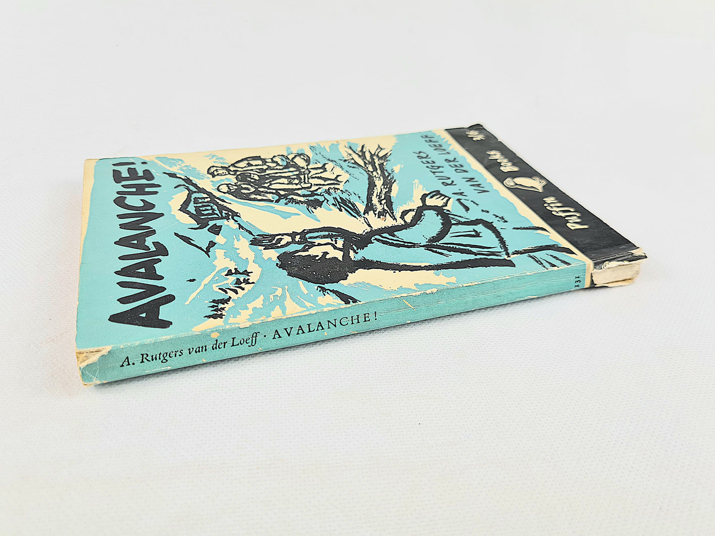 Avalanch! by A. Rutgers Van Der Loeff. Vintage children's book