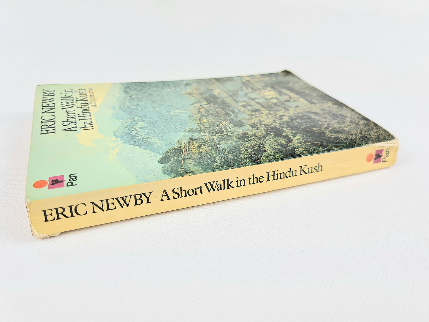 A Short Walk in the Hindu Kush by Eric Newby.Vintage travel book. Pan books