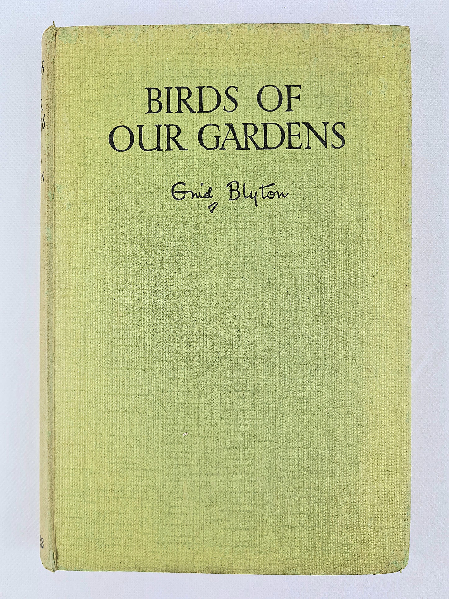 Birds of our Garden. Vintage book by Enid Blyton 