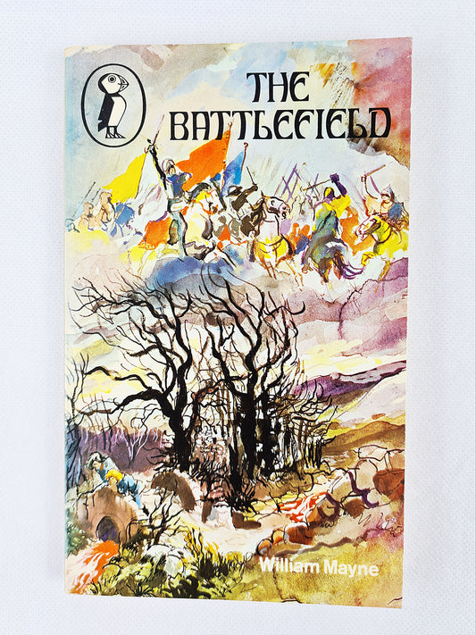 The Battlefield, vintage childrens book