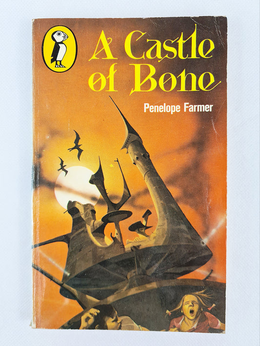 A castle of bone, vintage childrens book 