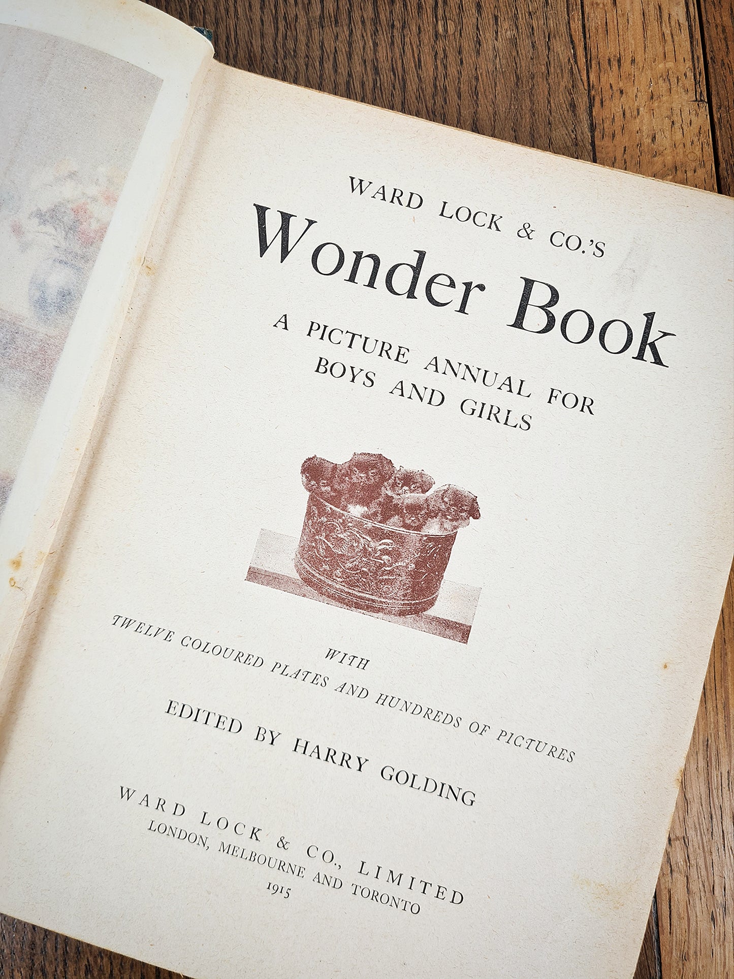 Wonder Book, a picture annual for boys and girls. Antique childrens book 1915