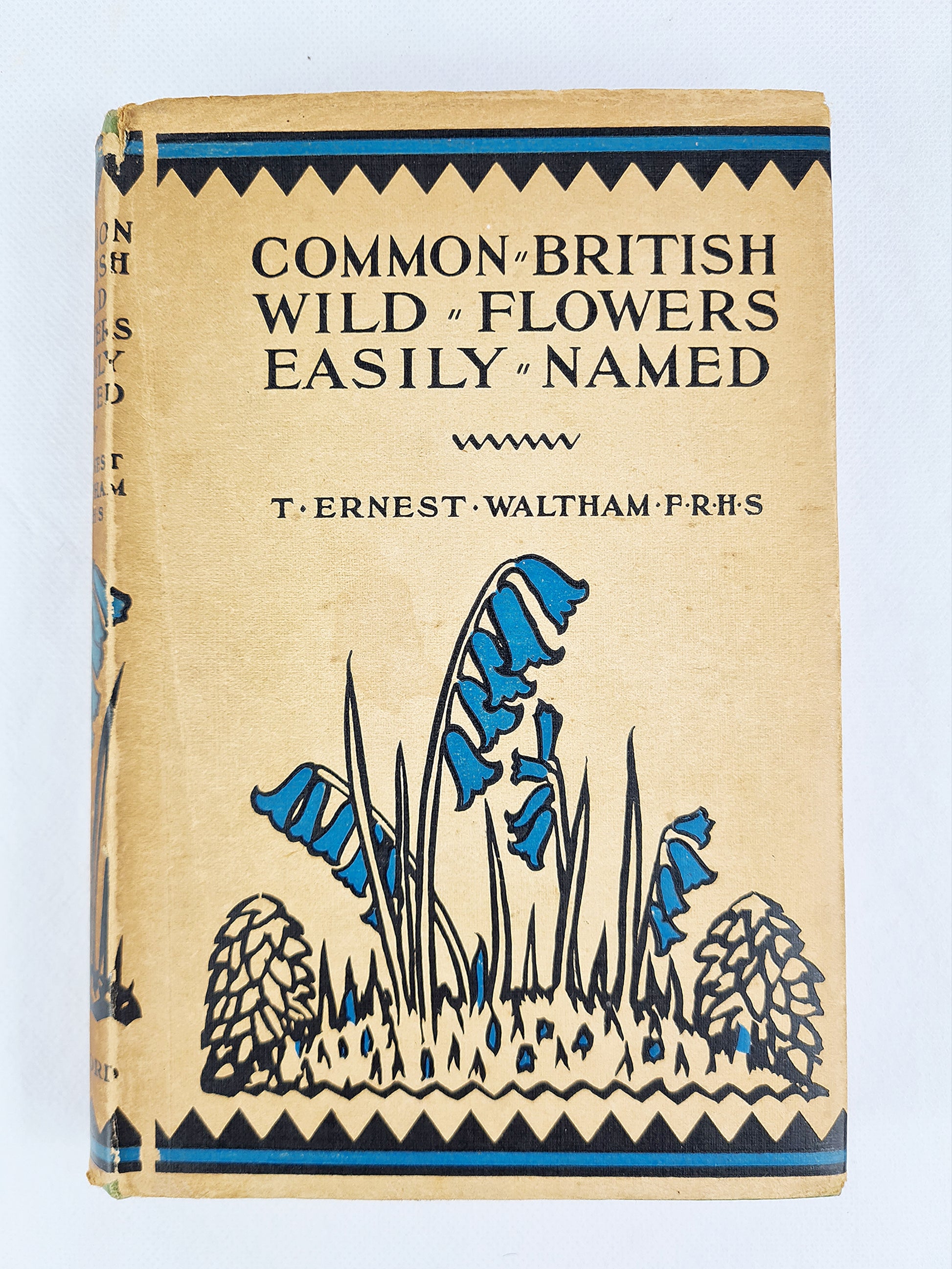 Common British Wild Flowers easily named. Vintage wild flowers book 