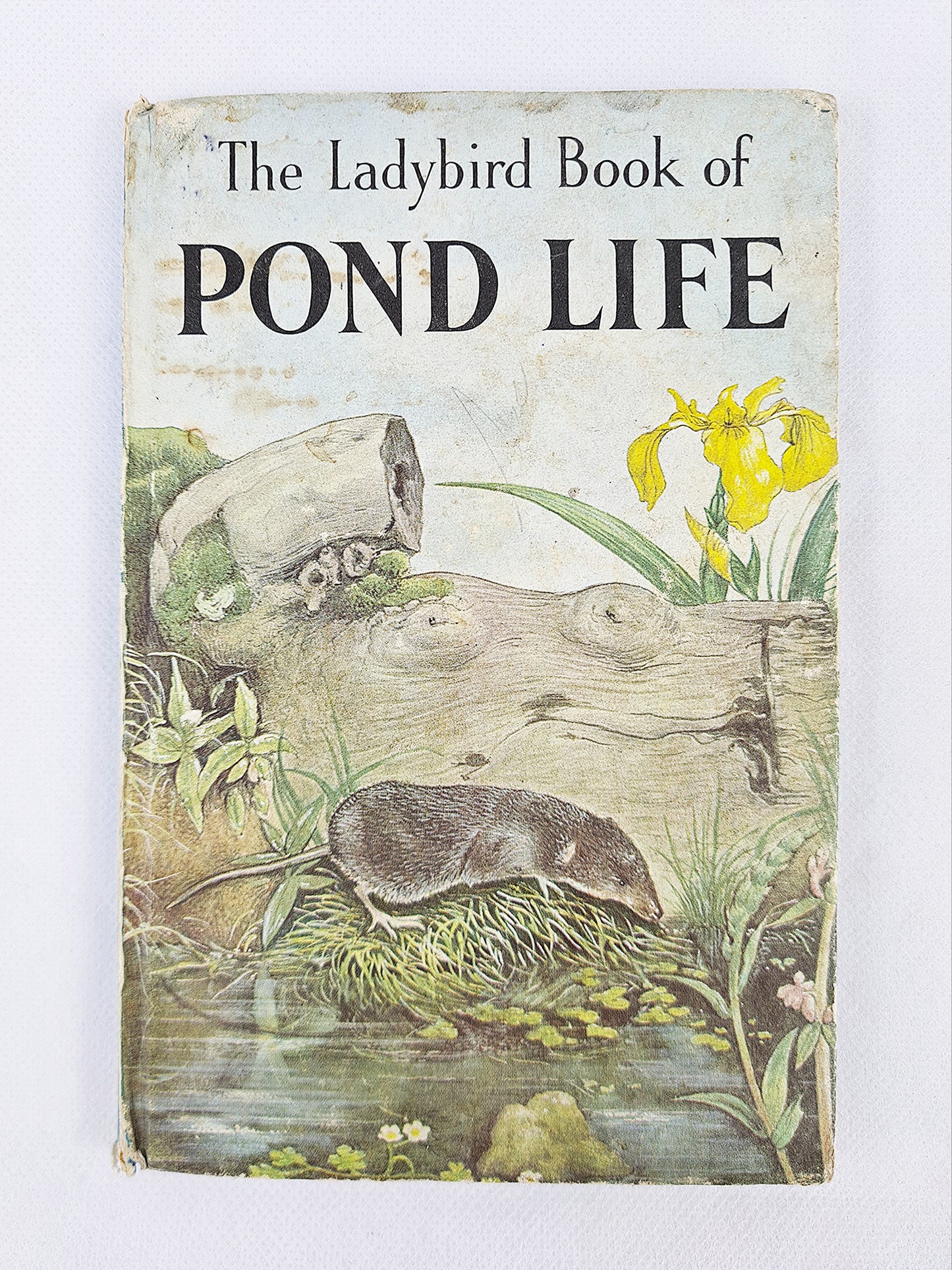 Pond Life, Ladybird series 536