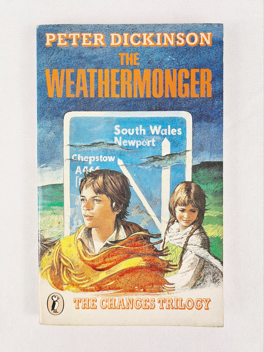 The Weathermonger, vintage childrens book