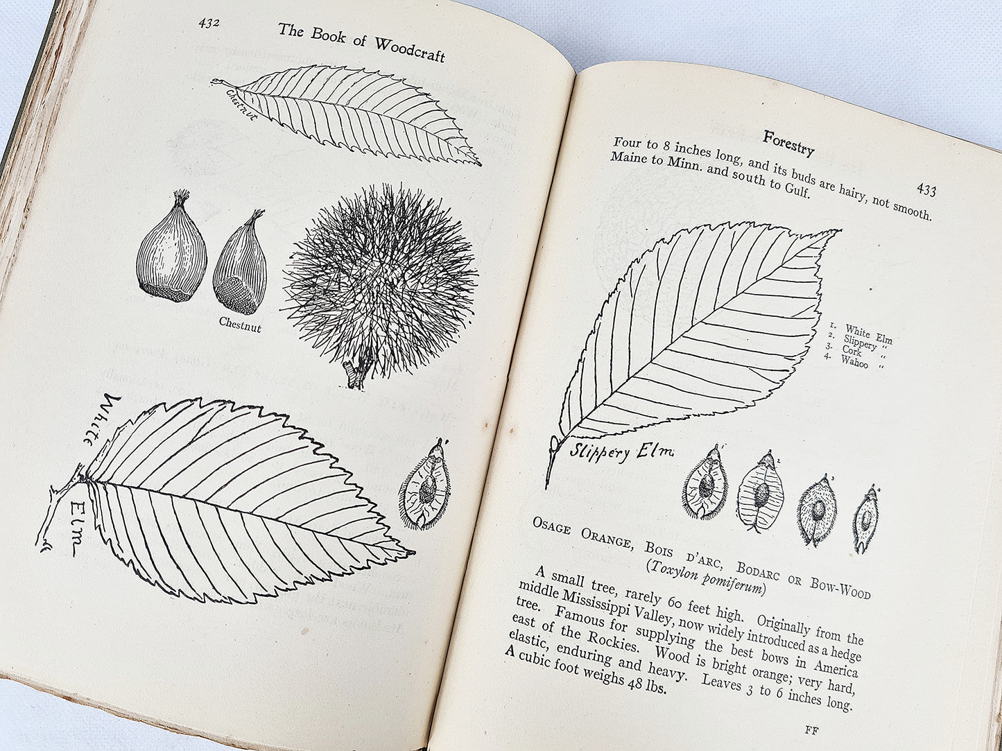 First Edition - The Book Of Woodcraft And Indian Lore, Ernest Thompson Seton