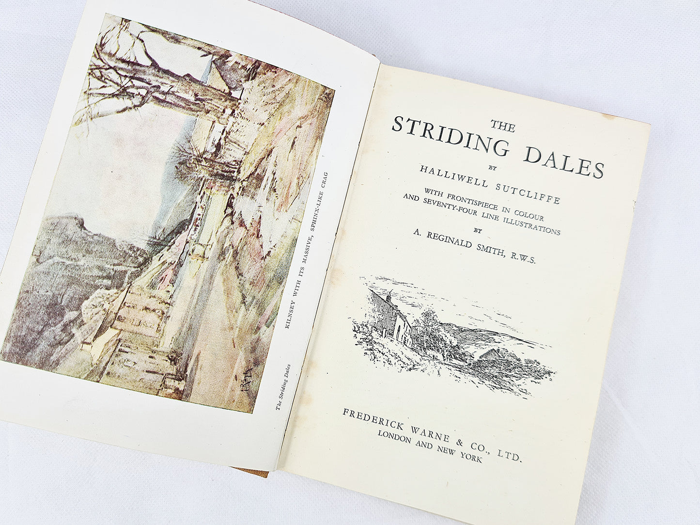 The Striding Dales By Halliwell Sutcliffe