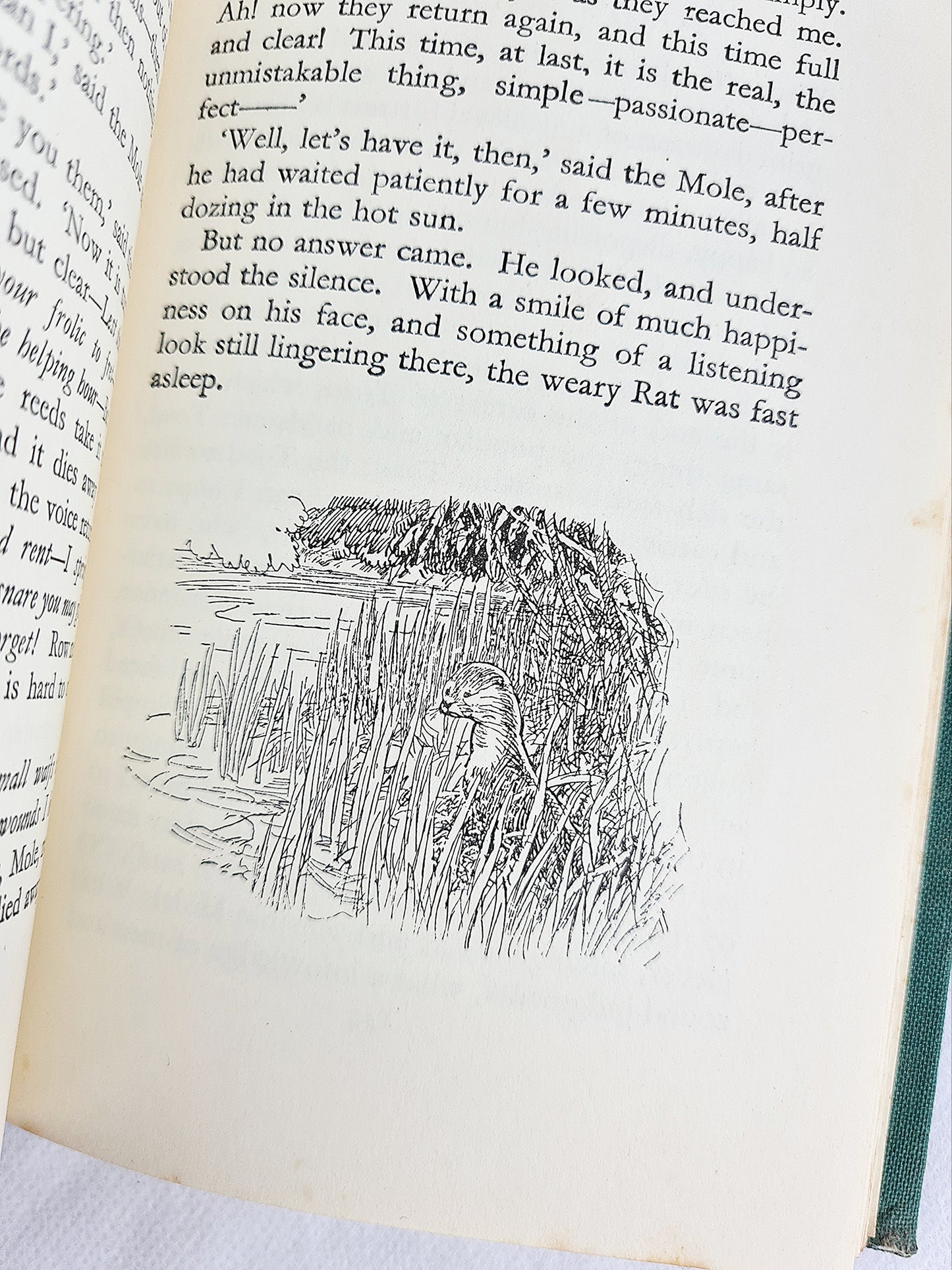 The Wind In The Willows, Kenneth Grahame. Illustrated By Ernest H. Shepard