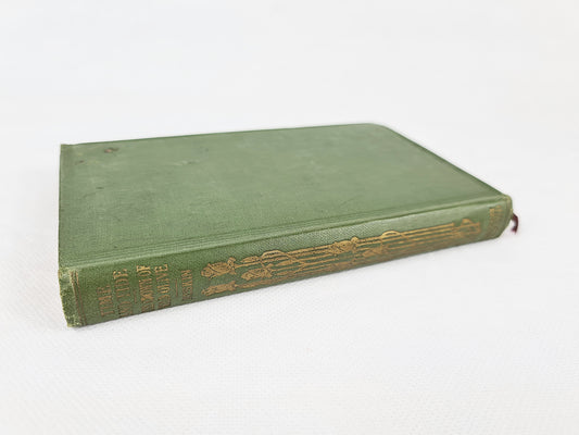 Green antique book by john ruskin 