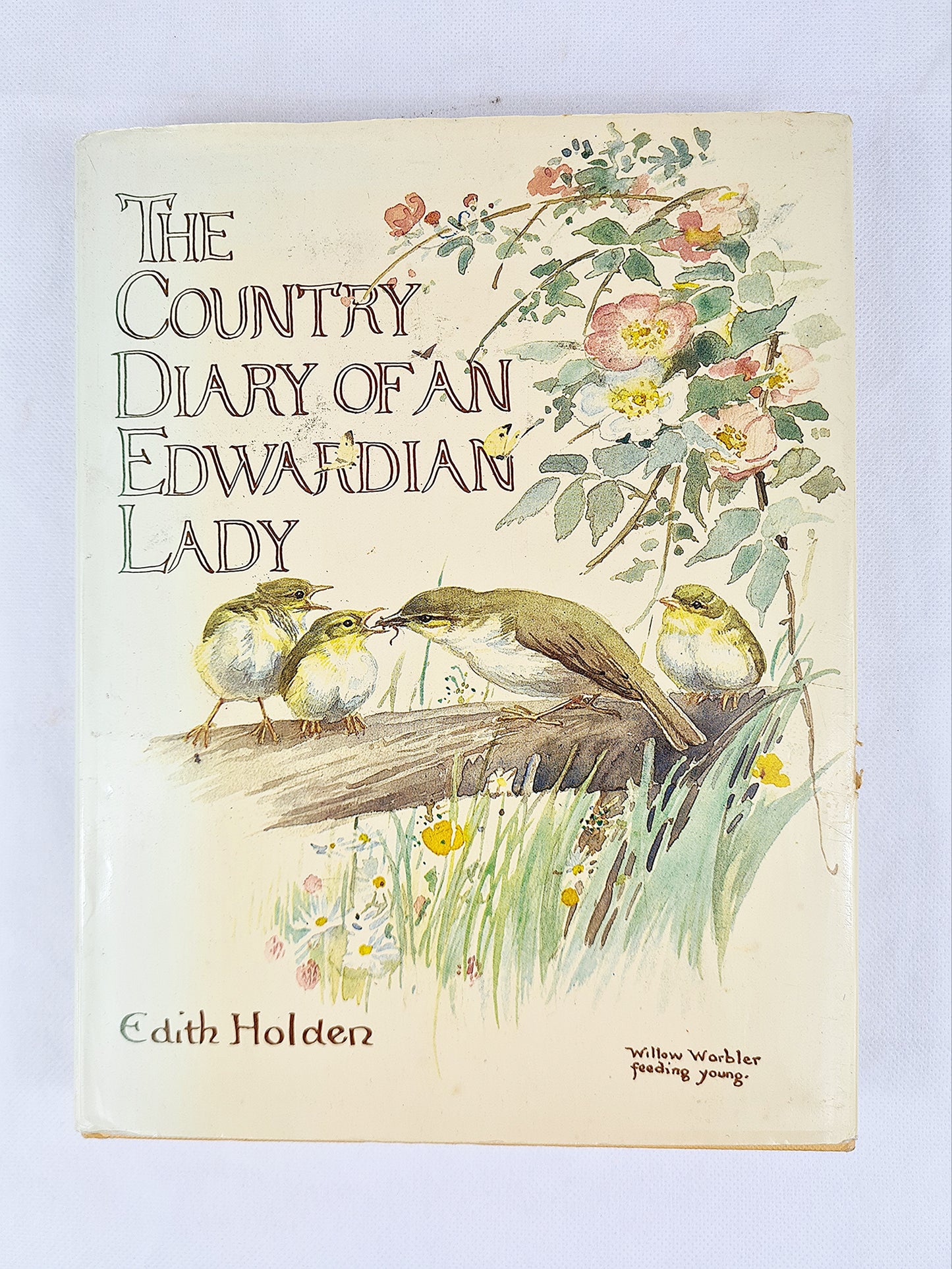 The Country Diary Of An Edwardian Lady, Edith Holden